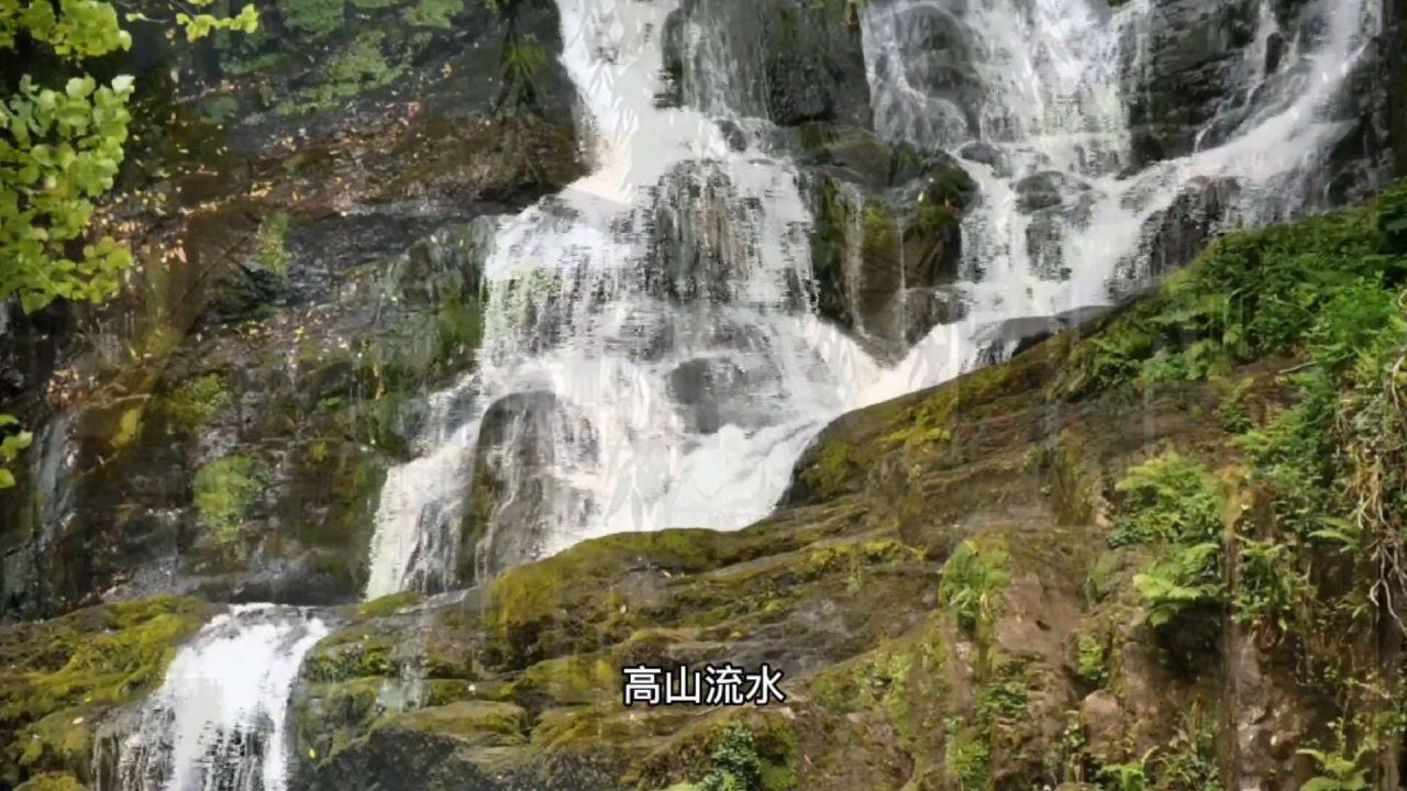 庄冬梅:25年建22家书店 散播书香浸润城市